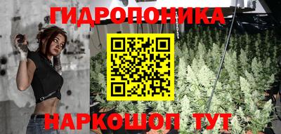 гашик Изобильный
