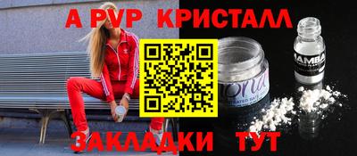 шишки Камышлов
