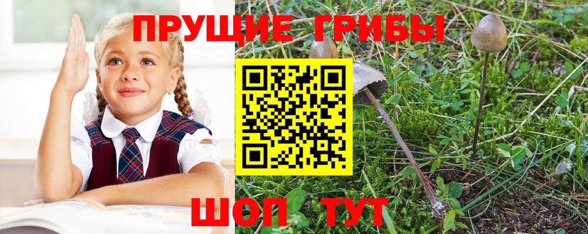 Псилоцибиновые грибы мицелий Когалым