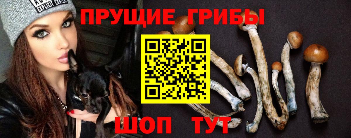 Галлюциногенные грибы Psilocybine cubensis  Вход с VPN  Когалым 